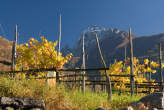 20071104_143126 Vigne autunnali e pizzo di Prata.jpg